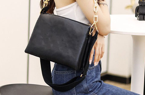 Saddlebag